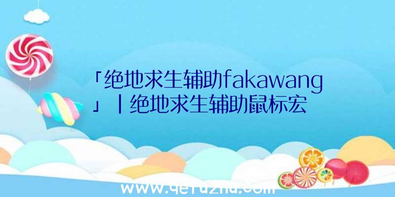 「绝地求生辅助fakawang」|绝地求生辅助鼠标宏